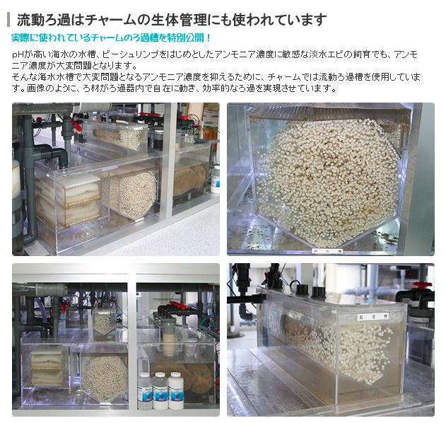 ペット用品販売店のチャームでは、熱帯魚の管理を流動フィルターを使用して行っています。このように流動フィルターはきちんとした実績のあるフィルターなのです。