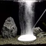 エアレーションは溶存酸素を増やすのに重要。