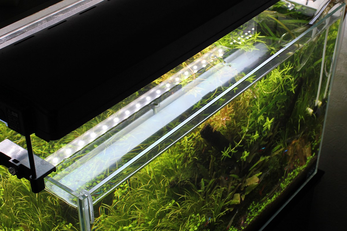 アクア・水槽用LEDの種類や選び方。光色・水草育成・機能・価格など。