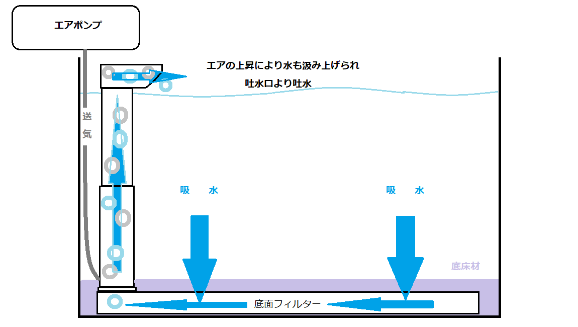 底面フィルター図 アクアリウム 熱帯魚が好きだから Mega Aquarium