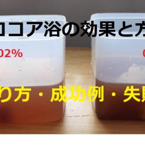 ヤマトヌマエビでアオミドロ除去対策 コケ取り生体でコケ予防を