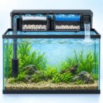 二層式上部フィルターを載せた60cm水槽のろ材構成イメージ